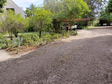 Place of Old D Bed and Breakfast in Cape Town