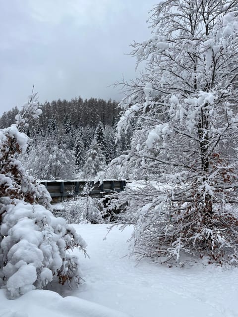 Casa Angela Apartment in Cavalese