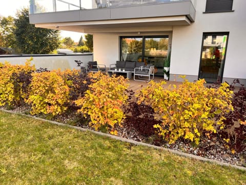 Property building, Patio, Garden