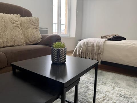 Le cocon douillet Apartment in Oyonnax