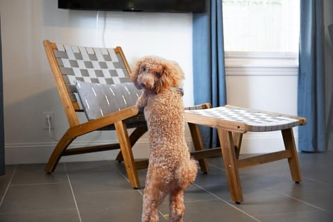 Beachside Bliss -Unit 1 - Walk to Ocean & Restaurants House in Jacksonville Beach