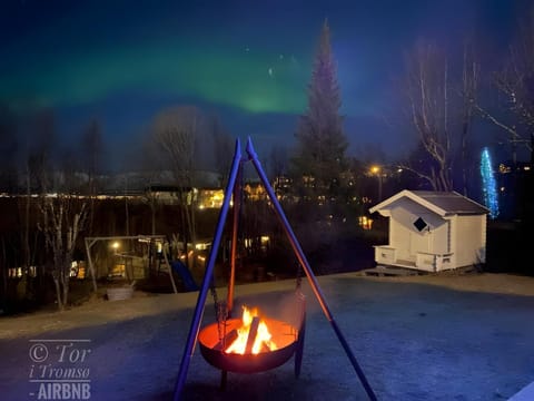 Patio, Night, Natural landscape, BBQ facilities, Garden, Garden view