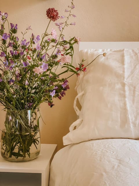 Il giardino di Gaia Apartment hotel in Portoferraio