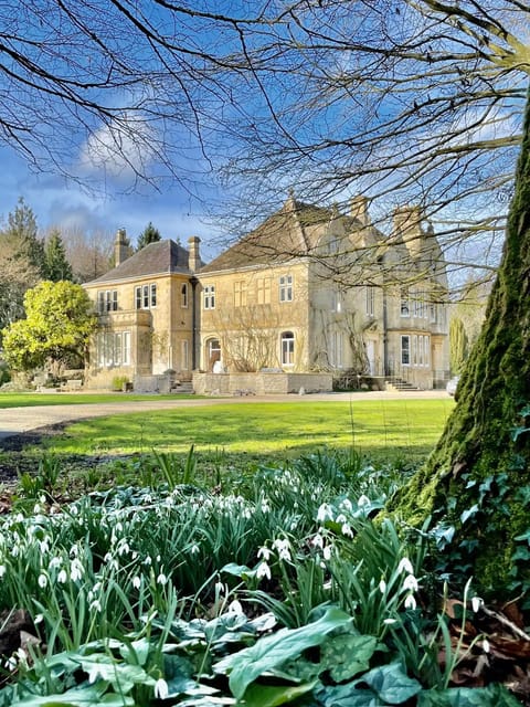 Property building, Garden view