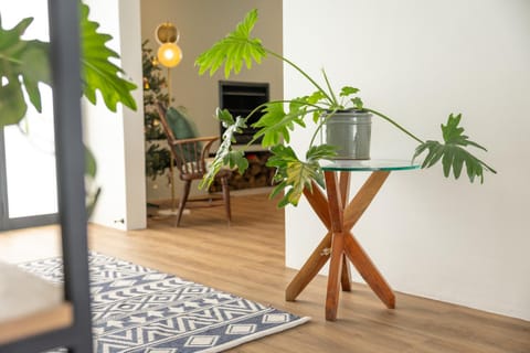 5 Bedroom Family Home with Private Apartment House in Hermanus