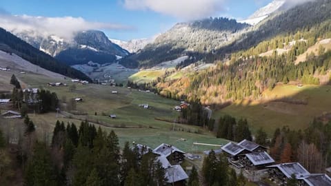 Alpine Studio for 4 in Nature Parc balcony&Parking Apartment in Canton of Valais