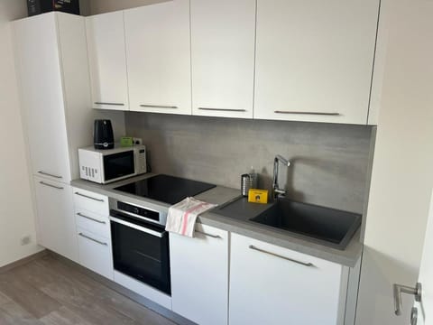 Very nice apartment Huningue - close to Basel Apartment in Weil am Rhein