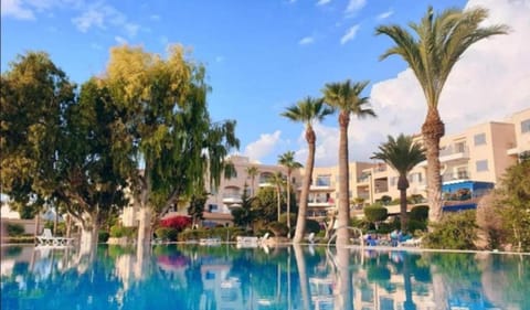 Garden, Garden view, Swimming pool