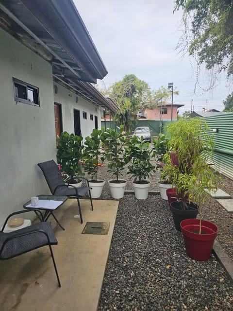 Garden view