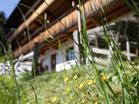 Property building, Summer