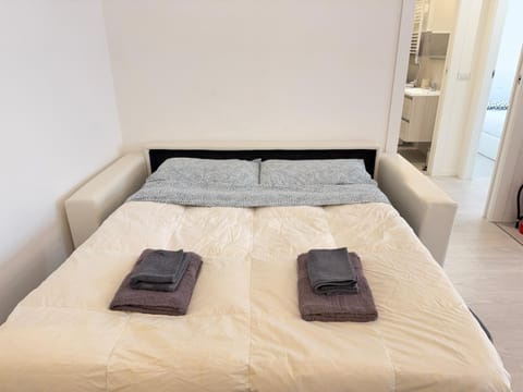 Bed, Living room, Photo of the whole room, towels