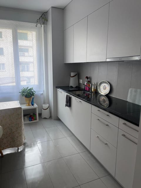 Salon lumineux avec TV et Canapé Vacation rental in Fribourg