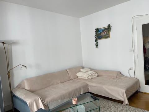 Salon lumineux avec TV et Canapé Vacation rental in Fribourg