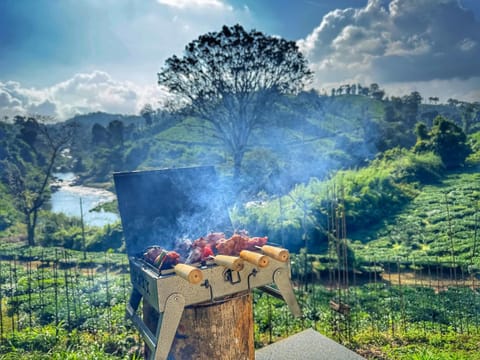 Natural landscape, BBQ facilities