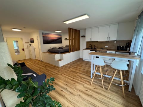 Bed, Kitchen or kitchenette, Living room, Photo of the whole room, Seating area, Dining area, Bedroom, stove
