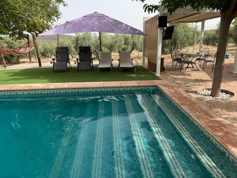 Patio, Day, Natural landscape, Garden, Garden view, Pool view, Swimming pool, sunbed