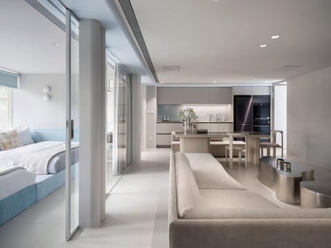 TV and multimedia, Kitchen or kitchenette, Living room, Photo of the whole room, Seating area, Bedroom