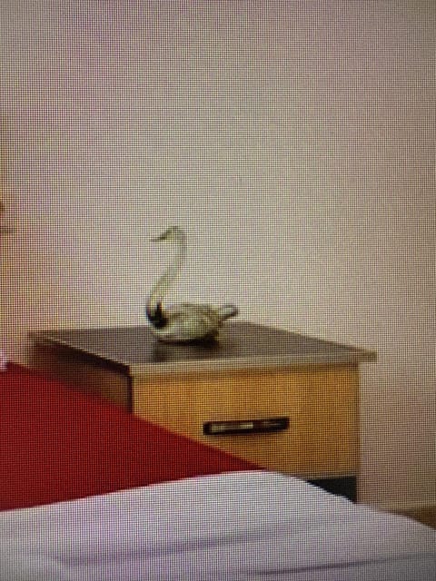 7 Heaven Hotel Apartment in Sarandë