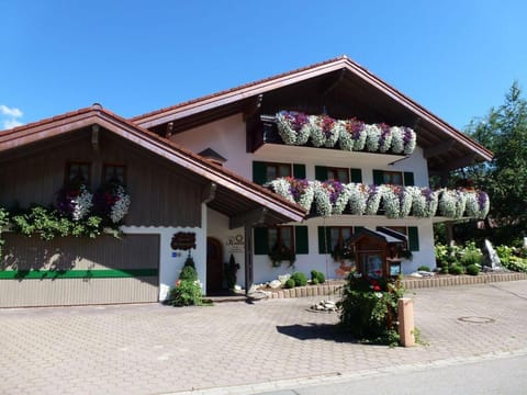 Property building, Spring, Day, Garden