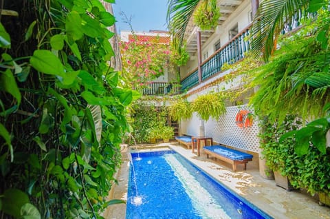 Pool view, Swimming pool
