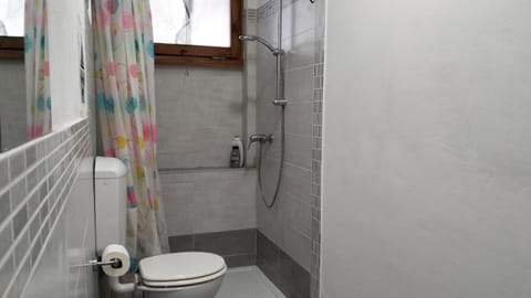 Shower, Toilet, Bathroom, bidet