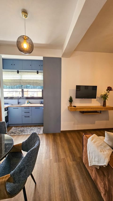 TV and multimedia, Kitchen or kitchenette, Living room, Photo of the whole room, Seating area