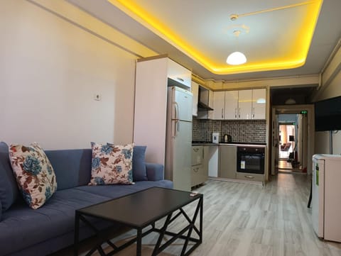Kitchen or kitchenette, Living room, Seating area, oven, stove