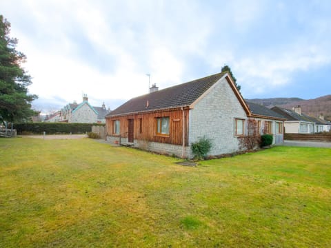 Patio, Garden, Garden view
