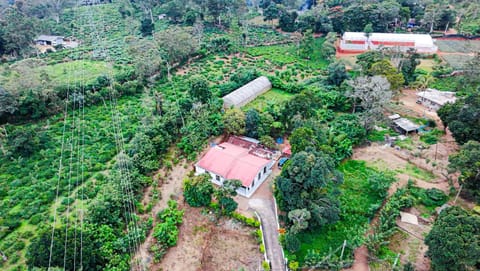 Property building, Day, Natural landscape, Bird's eye view, Garden, Garden view