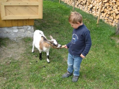 Demelhof Urlaub auf dem Bauernhof Farm Stay in Grassau