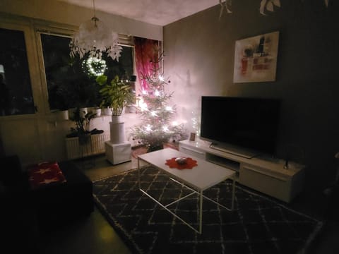 Cozy Apartment near Santa Claus Village Apartment in Rovaniemi