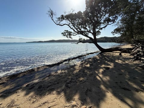 Summer, Beach