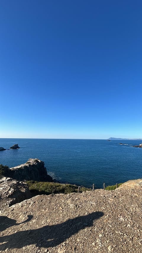 City center 8p Apartment in Strasbourg