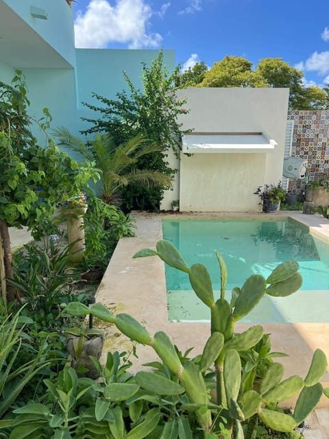 Garden, Garden view, Pool view, Swimming pool