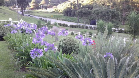 Pousada Antigo Caminho Do Ouro Inn in State of Rio de Janeiro