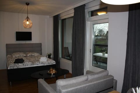 Cozy and modern studio in a top location Apartment in Turku