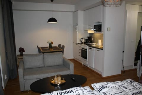 Cozy and modern studio in a top location Apartment in Turku