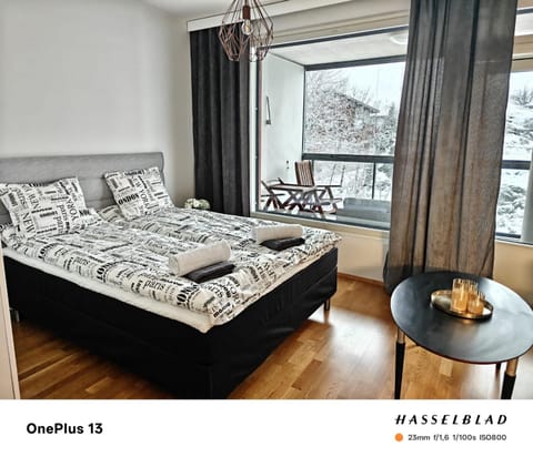 Cozy and modern studio in a top location Apartment in Turku