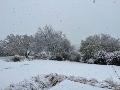Chambre d'hôtes Lucia avec vue sur jardin arboré Bed and Breakfast in Hauts-de-France