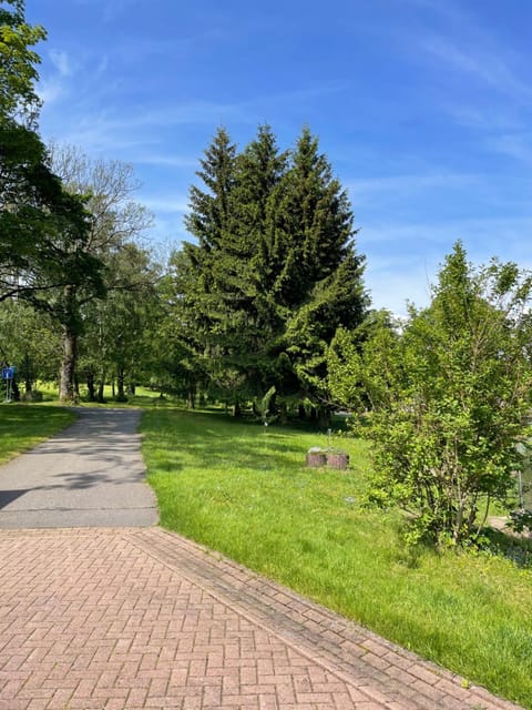 Spring, Natural landscape, Garden, Garden view