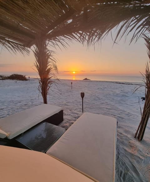 Beach, Sunrise, sunbed