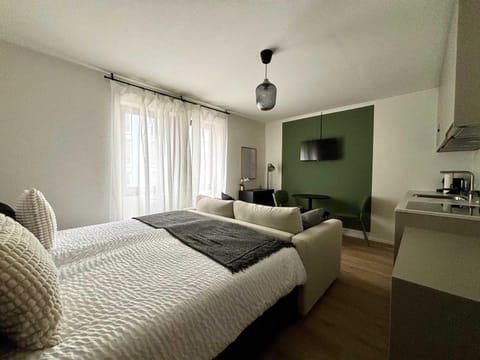 Beautiful Renovated Apartment in Lorrach Apartment in Riehen