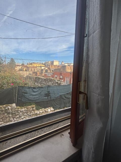 Natural landscape, View (from property/room), City view