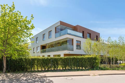 Property building, Spring, Day