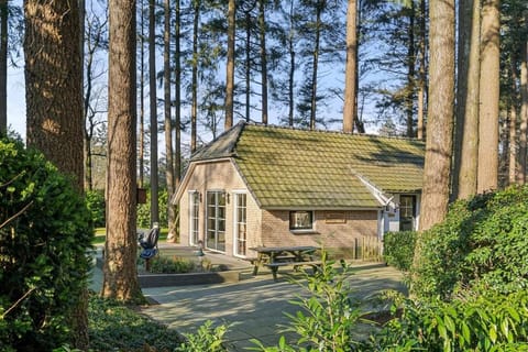 Property building, Day, Garden, Garden view