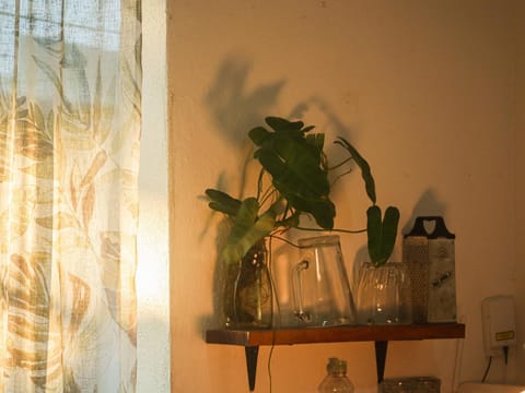 Casa Helechos Vacation rental in Puerto Escondido