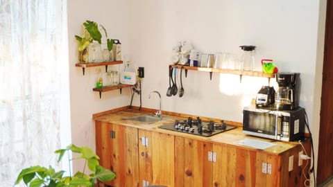 Casa Helechos Vacation rental in Puerto Escondido