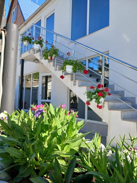 Property building, Day, Garden, Garden view