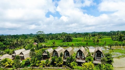 Day, Natural landscape, Bird's eye view, Summer, View (from property/room), On site