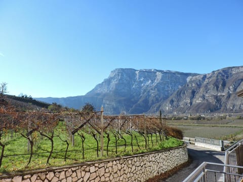 L'Ora del Bianco Apartment in Trentino-South Tyrol